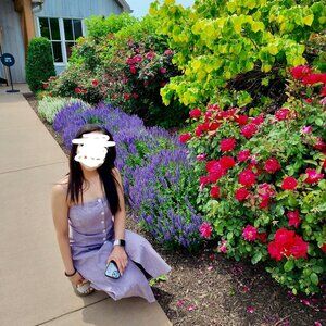 Theory Purple Midi Dress